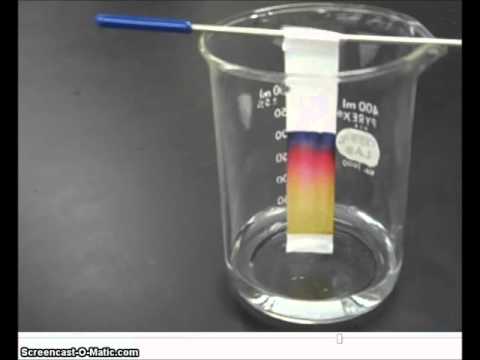 🧪Papierchromatographie - Chemieexperiment mit Herrn Pauller