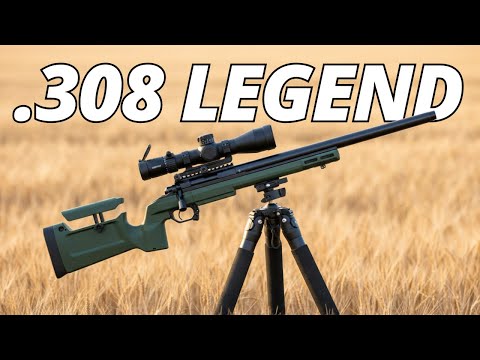 The TOP 10 BEST .308 Rifles For Hunting In 2026!
