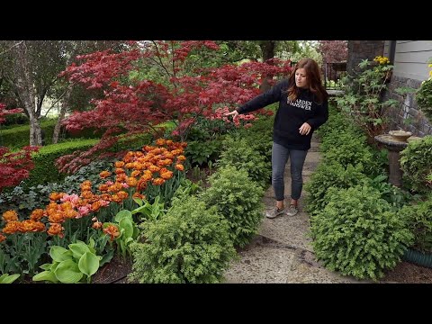 A Look Back at 2020! 🌿 // Garden Answer
