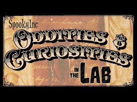 oddities and curiosities expo chicago 2022 oddities and curiosities expo chicago 2022