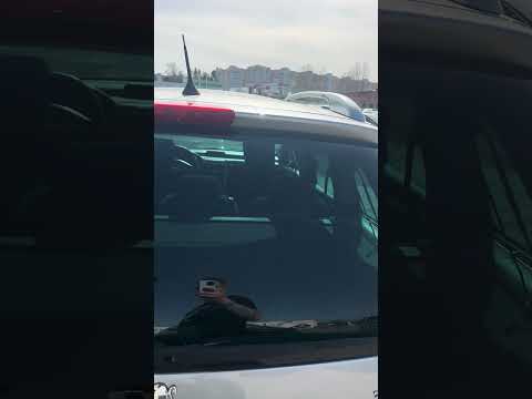 фото peugeot 307 i 0