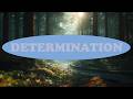 Deuteronomy  31:8 Forest Soaking worship instrumental Bible verse.