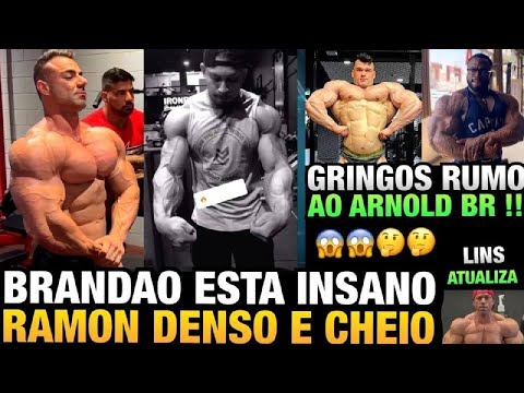 BRANDÃO MOSTRA SHAPE INSANO - RAMON CRESCENDO SECO - RIVAIS GRINGOS DO BRANDÃO ATUALIZAM E MAIS