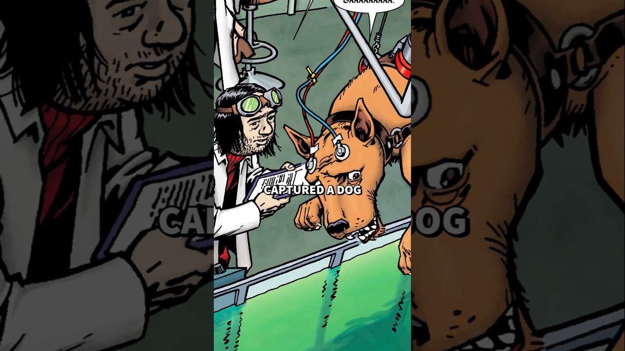 when a street dog becomes dogpool