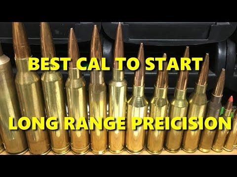 Best caliber to start/learn long range/precision rifle shooting?
