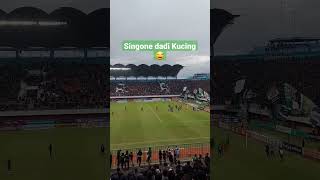 Download lagu Singone dadi kucing | PSS SLEMAN vs AREMA #psssleman #arema #liga1bri2022 mp3