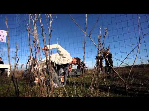 RALFLO with Vama - SARKOZY versus GYPSY