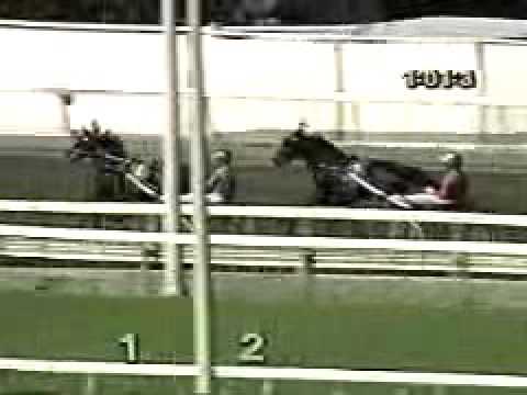 1989 Hambletonian - Park Avenue Joe & Probe