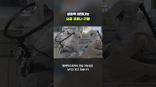 코로나가 안 끝나는 이유｜크랩