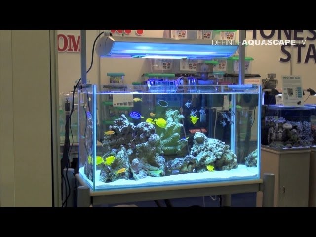 Aquascaping - Marine Aquarium by Honest Star, part 1