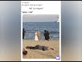 Memes About Being Single