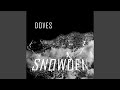 Almost Forgot Myself (Doves Vs 69Corp)