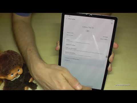 Samsung Galaxy Tab S6: How to enable the Developer Options? for USB Debugging etc.