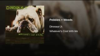 Pebbles + Weeds