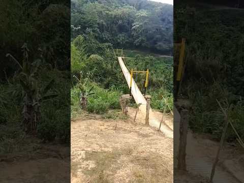 Tinaquillo puente colgante trigua parte 2 #tinaquillo #cojedes #venezuela