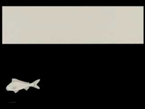 Cielo y agua / Sky and Water