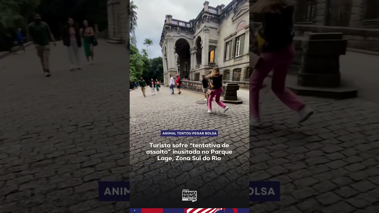 Turista sofre “tentativa de assalto” inusitada em parque no Rio #Shorts