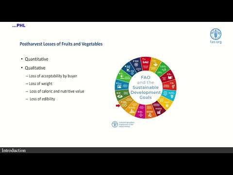 FAO training - Postharvest management and technologies of horticultural crops focusing on potatoes
