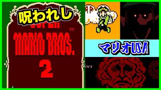 【閲覧注意】マリオの前に現れたのは最凶の"男梅"！？最悪な世界線のスーパーマリオUSAをプレイした結果...【CreepyPasta】【グロ】【exeゲーム】