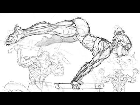 My 6 MONTH Anatomy Routine - NO ART SCHOOL