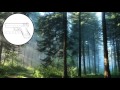 Night Lovell - Fraud 