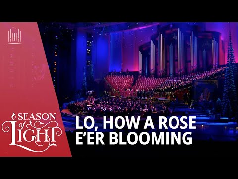 Lo, How A Rose E'er Blooming | Season of Light | The Tabernacle Choir #christmas