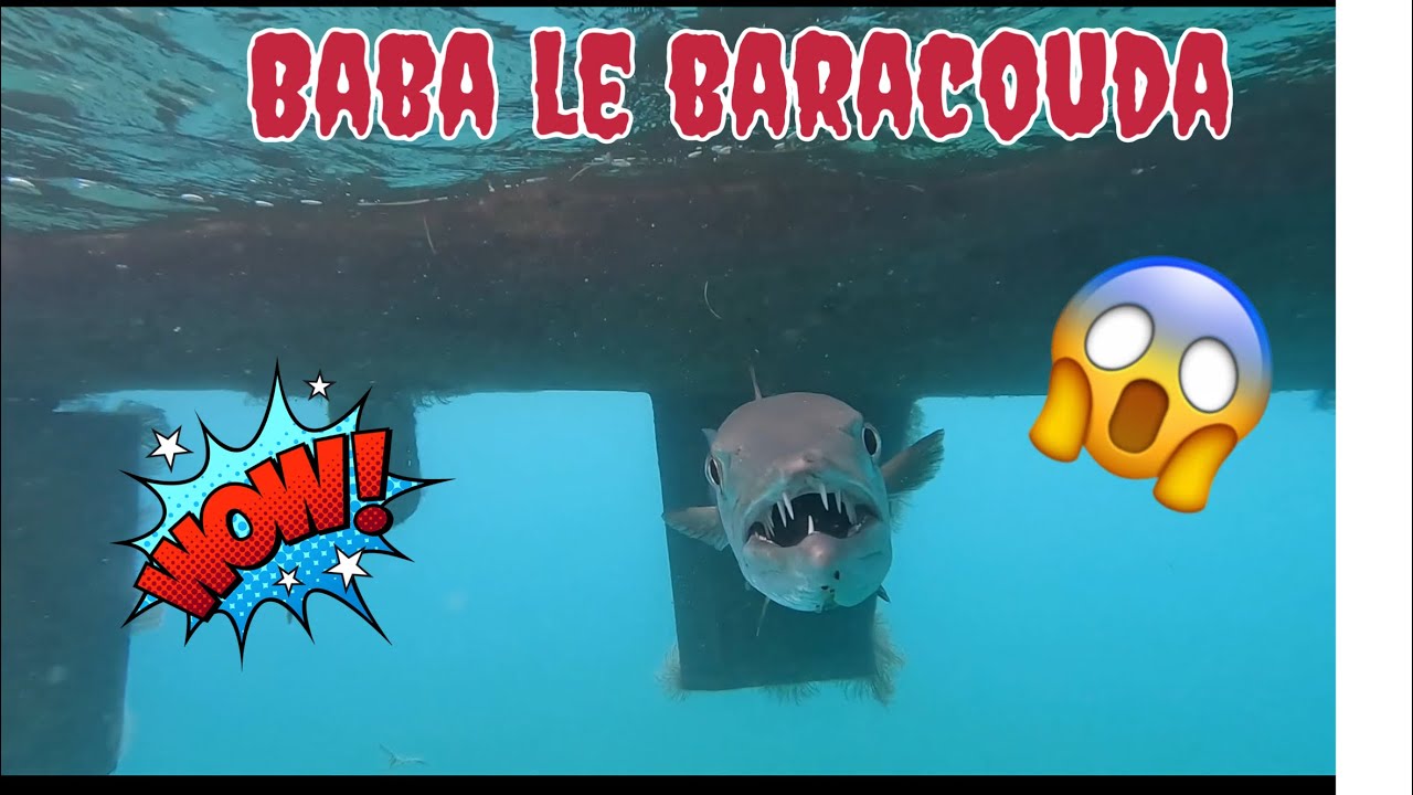 #5 Bad encounter!!!