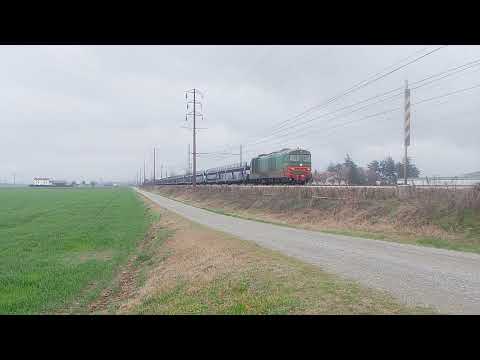 D445 1018 MIR chignolo pò-alessandria smistamento con bisarche in transito a pontecurone