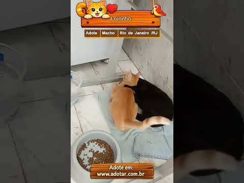 Vídeo de Loirinho