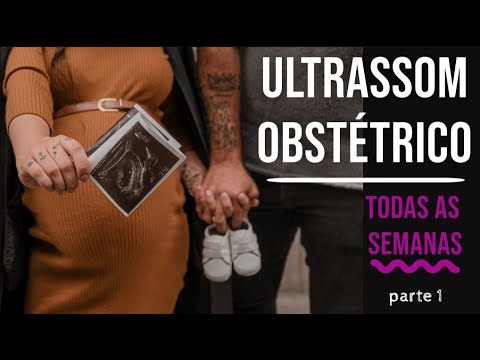 Ultrassom todas as semanas da gestação (vídeo)