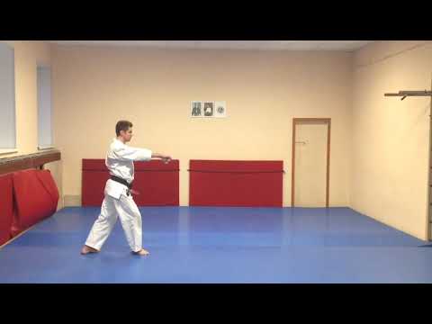 Mae Mawari Ukemi (Zempo Kaiten Ukemi).  Yoshinkan Aikido