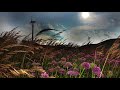 Cold Wind Sound Effect