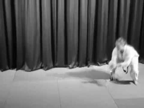 Aikido Instruction - Ushiro Ukemi Exercises- TAKN Archives