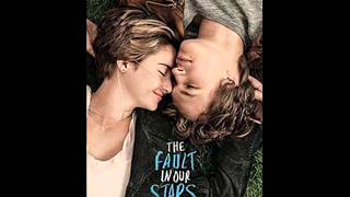 TFIOS -Without Words -Ray Lamontagne