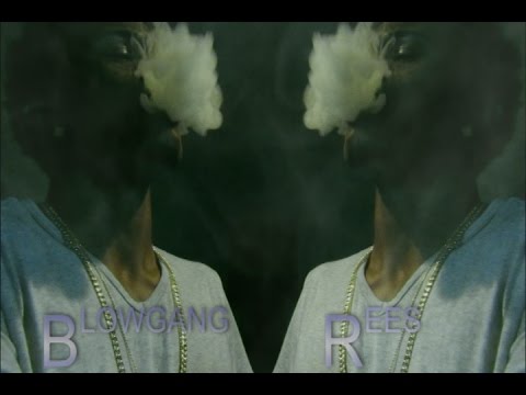 Blowgang Rees- Bitch Don't Kill My Vibe