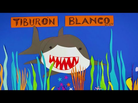 Tiburón Blanco Yo Soy - Tu Rockcito y Orquesta Filarmónica de Medellín