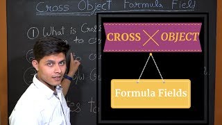 What are Cross Object Formula fields in Salesforce?