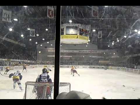 Ambri -  scl tigers