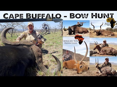 Hunting Buffalo and Plains Game with bow and a few rifle hunts.