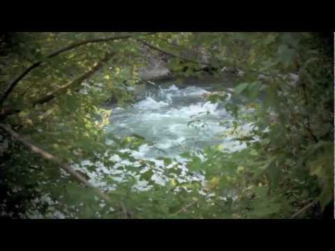 "Every River" ~ Fox Amoore feat. Ashley Serena