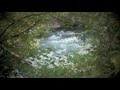 "Every River" ~ Fox Amoore feat. Ashley Serena ...