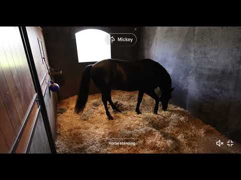 Stable1