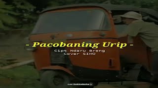 Download lagu Story WA Lirik Lagu Pacobaning Urip - Cover Siho mp3