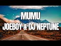 JOE BOY X DJ NEPTUNE - MUMU LYRICS