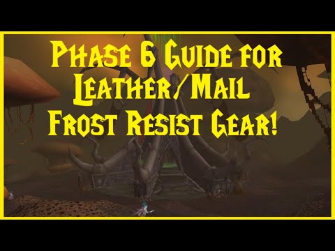 Classic WoW: Phase 6 Guide for Leather/Mail Frost Resist Gear!