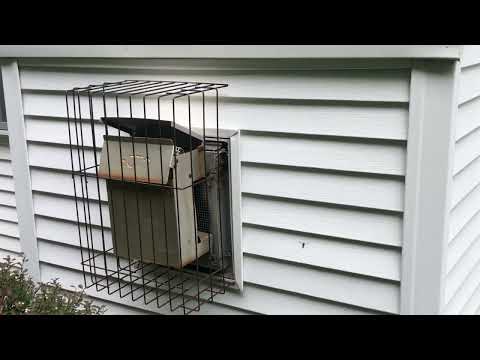 Fireplace Full of Yellow Jackets in Jackson, NJ