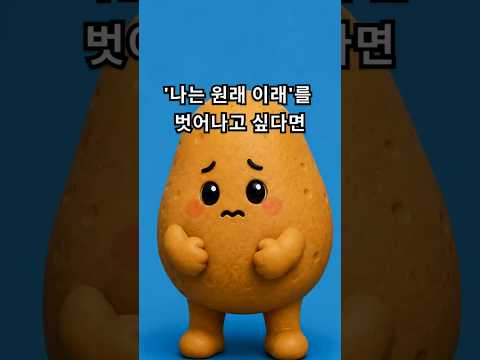 '나는 원래 이래'를 벗어나고 싶다면 | 감자인 EP01.