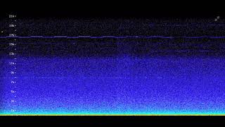 Spectrograms