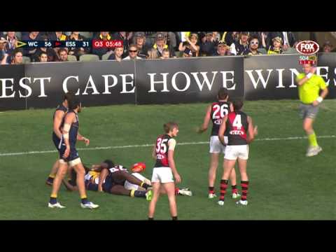 Round 11 AFL Highlights - West Coast v Essendon