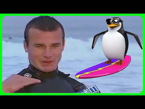 Surf's Up explained by an idiot